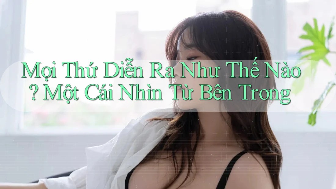 Mọi Thứ Diễn Ra Như Thế Nào? Một Cái Nhìn Từ Bên Trong