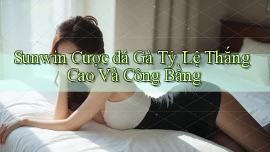 sunwin  cược đá gà tỷ lệ thắng cao và công bằng