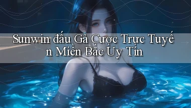 sunwin  đấu gà cược trực tuyến miền bắc uy tín