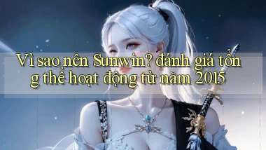 Vì sao nên Sunwin đánh giá tổng thể hoạt động từ năm 2015